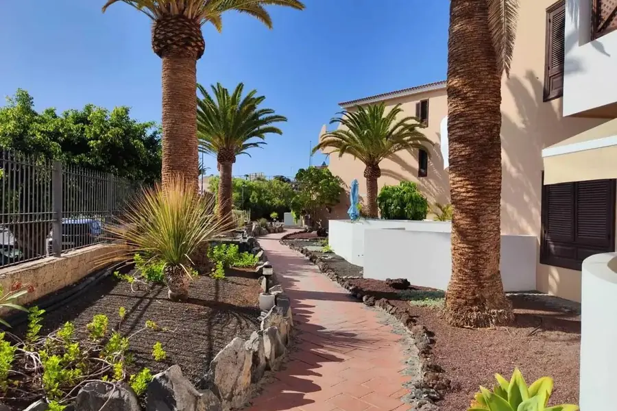 Tropical garden pathway with palm trees at Parque Albatros complex, Golf del Sur, Tenerife