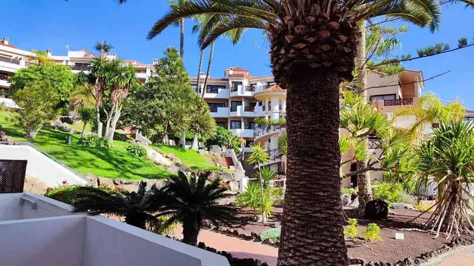 Tropical garden view at resort with palm trees.