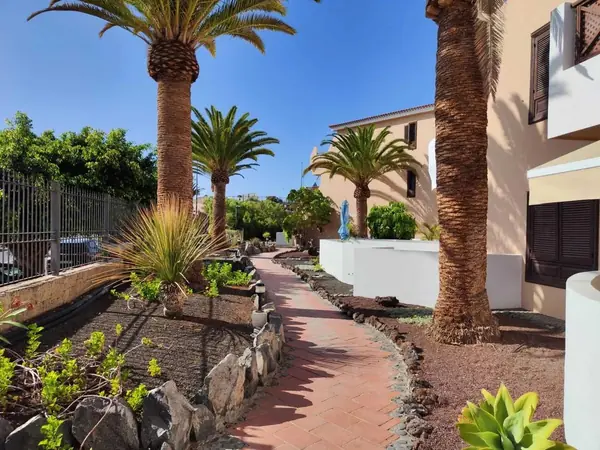 Brick garden pathway with palm trees at Parque Albatros complex, Golf del Sur, Tenerife