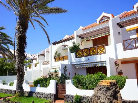 Sunny villa exterior with palm trees and garden