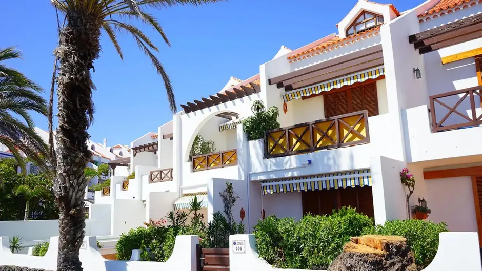 Sunny villa exterior with palm trees and garden