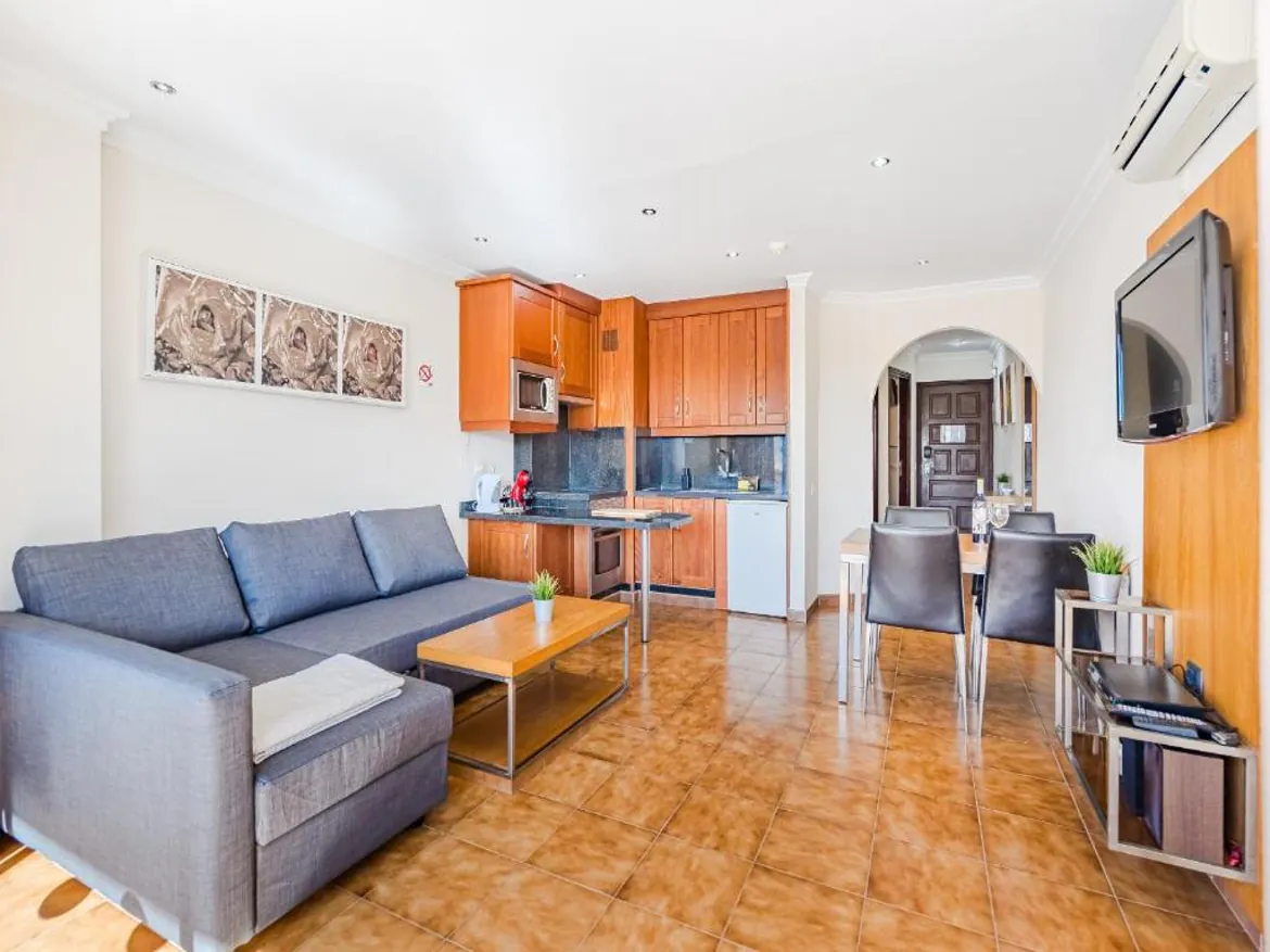 Modern apartment living room and kitchen area