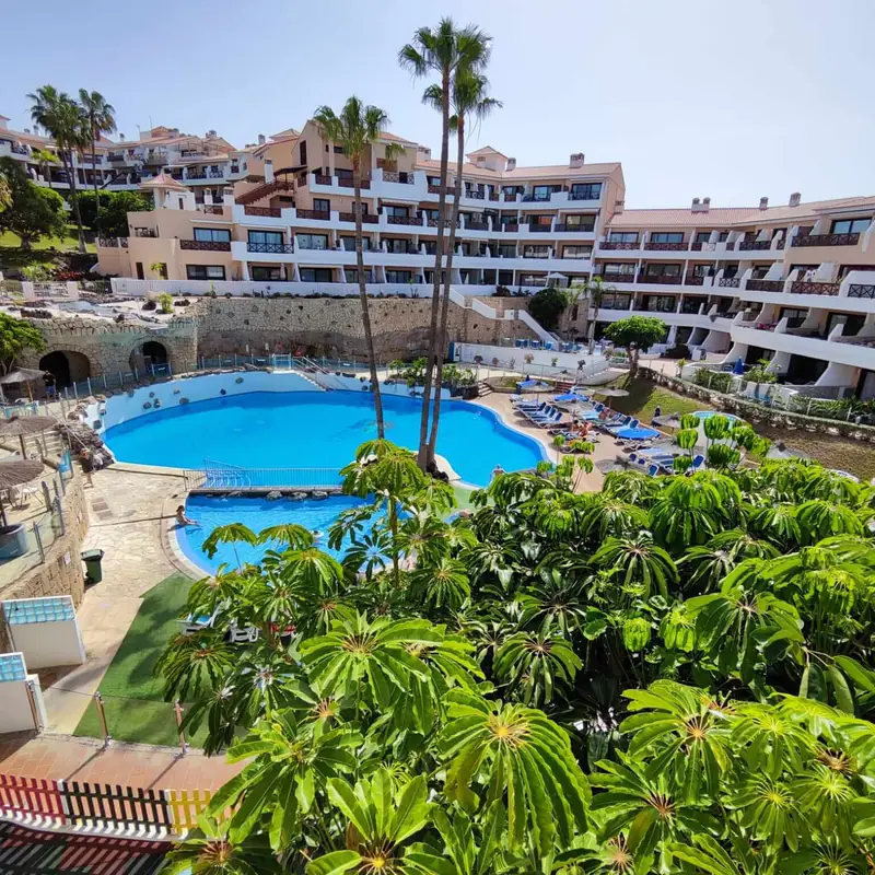Resort pool with lush greenery and palm trees.