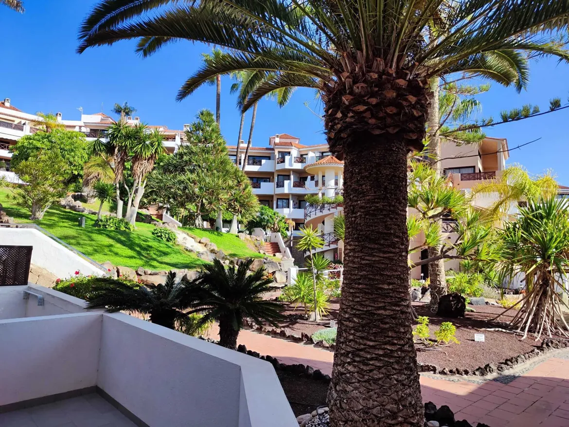 Tropical garden view at resort with palm trees.