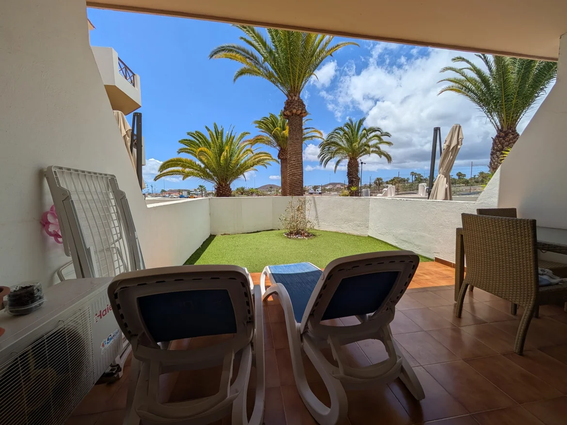 Patio with loungers, palm trees, and blue sky
