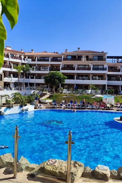Sunny hotel pool with lounging guests and greenery.
